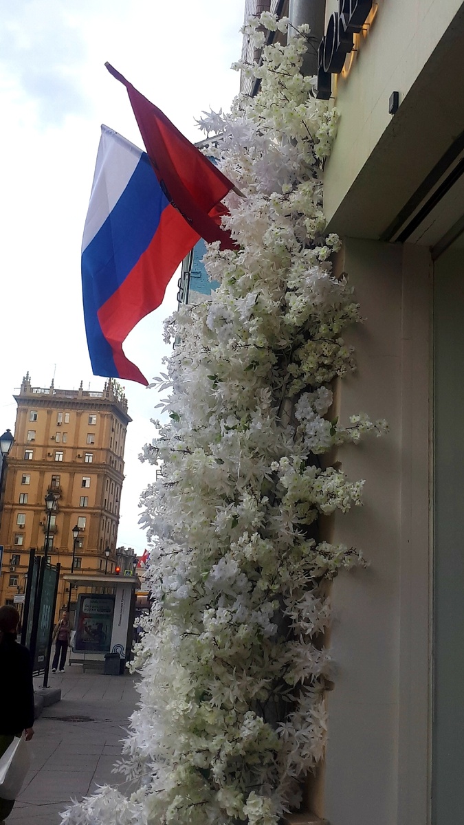 Фото автора 12.06.2025г.