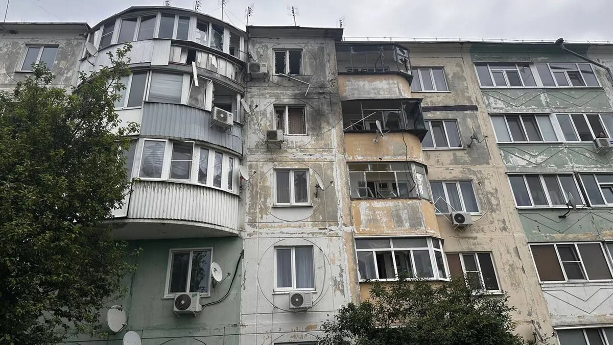   @vvgladkov / Telegram