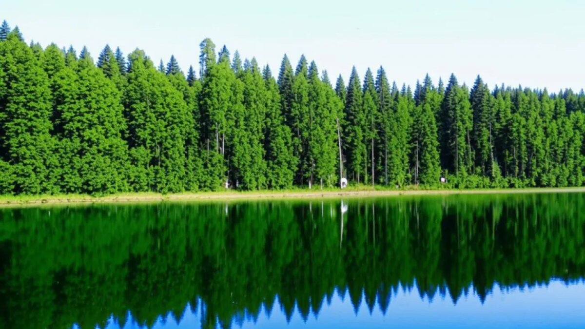    Сгенерировано ИИ