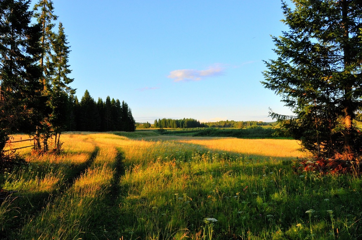 Фото: https://pixabay.com/users/tomson_59-5655056