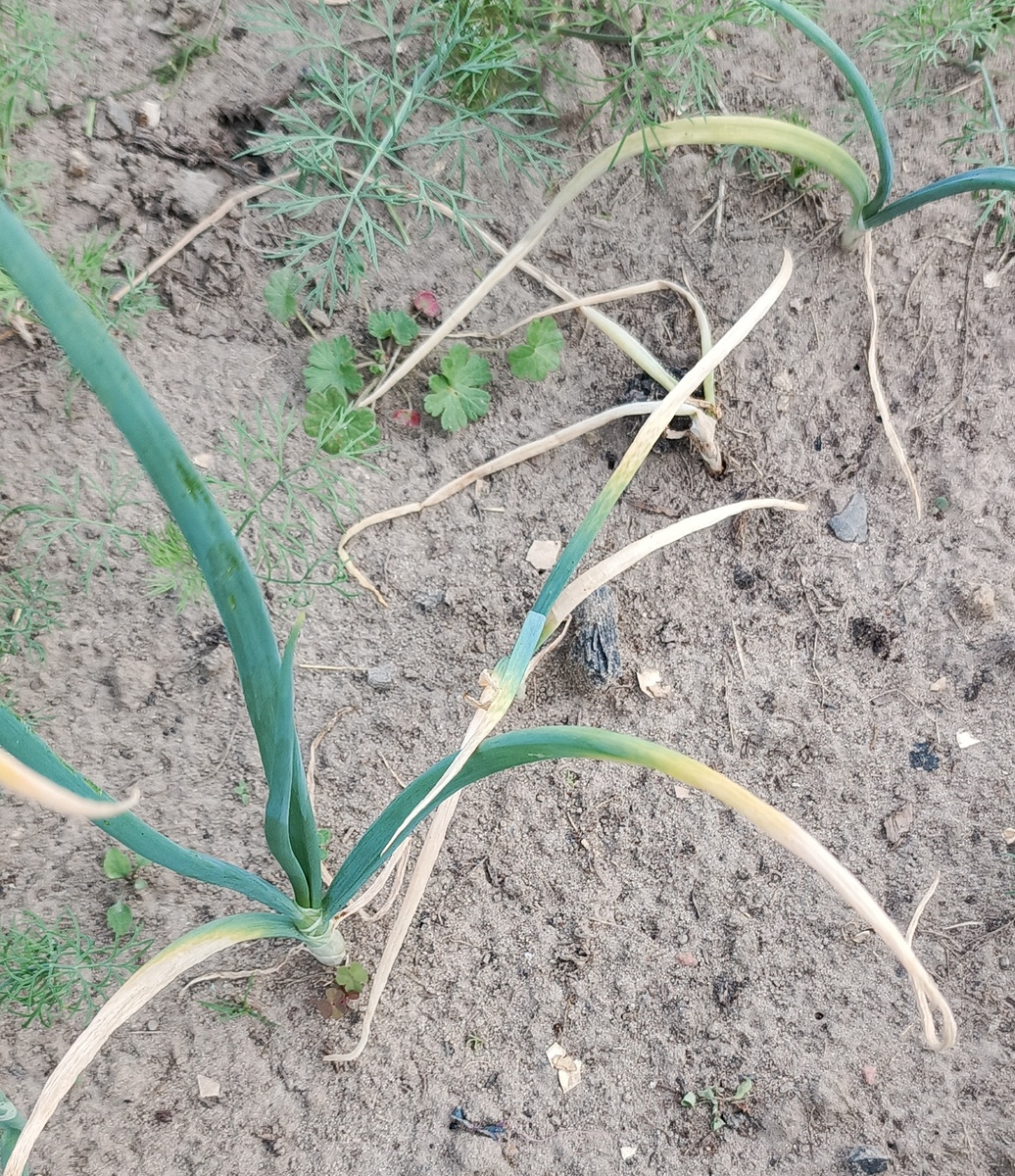 Фото автора статьи