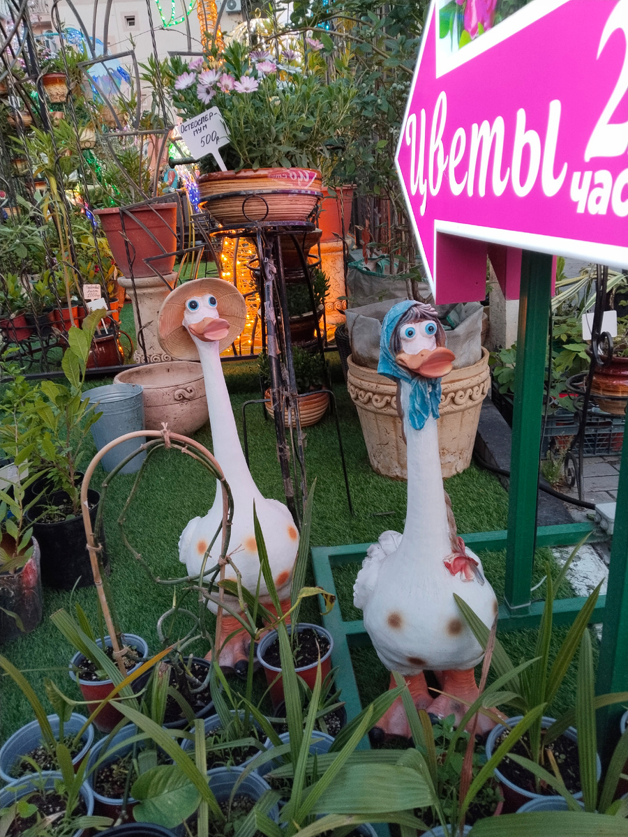 Гуси в цветочном магазине