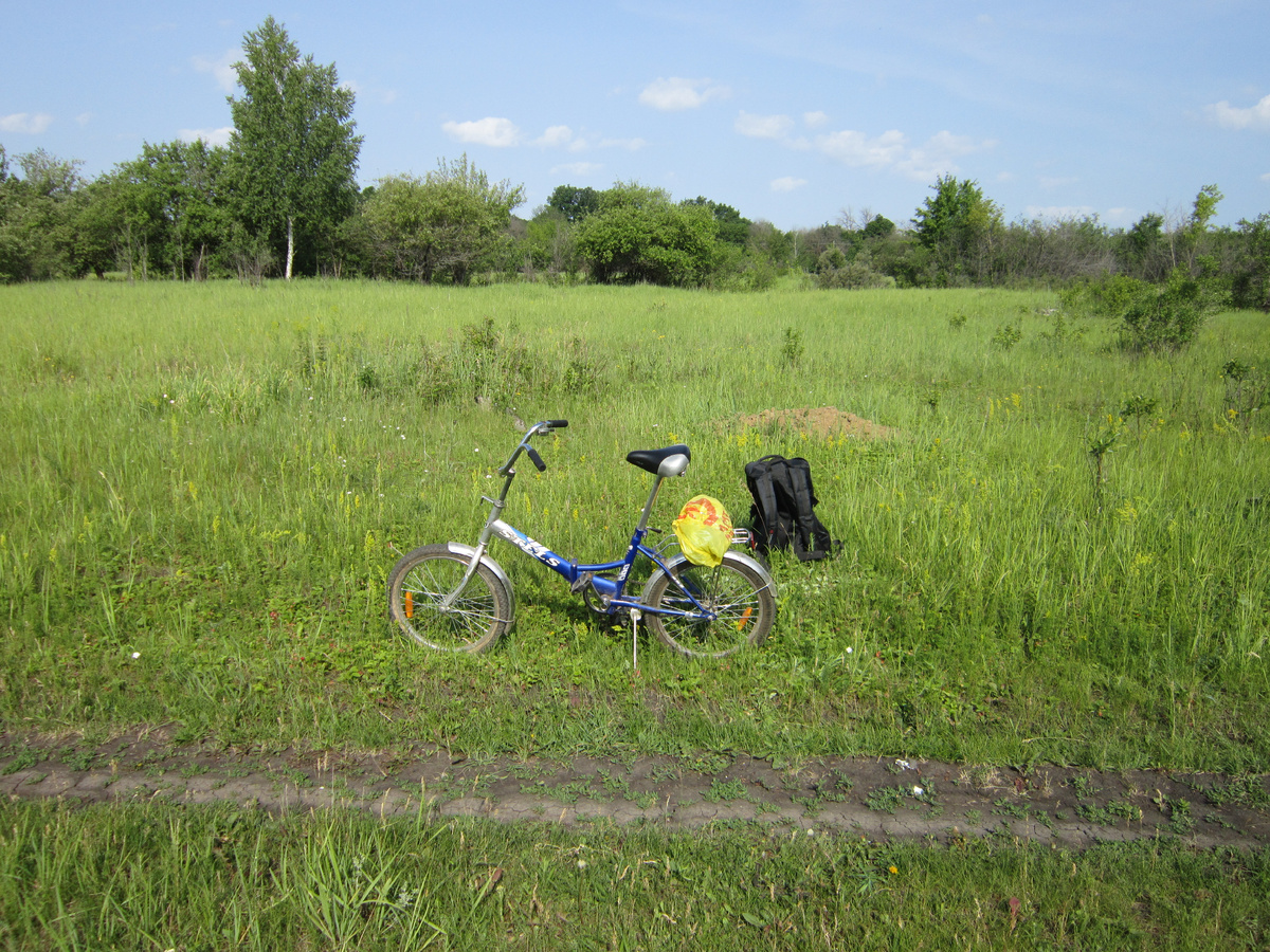Фото автора. Знакомьтесь Конь, если кто незнаком.