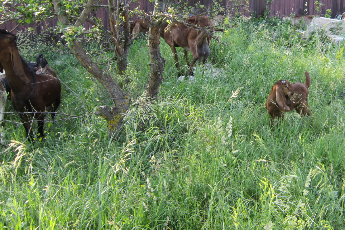 Фото автора.