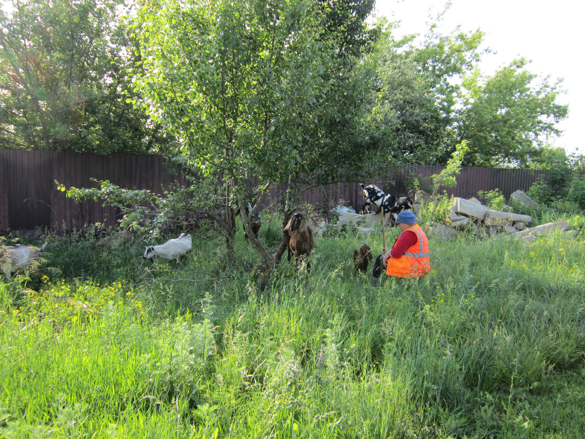 Фото автора.