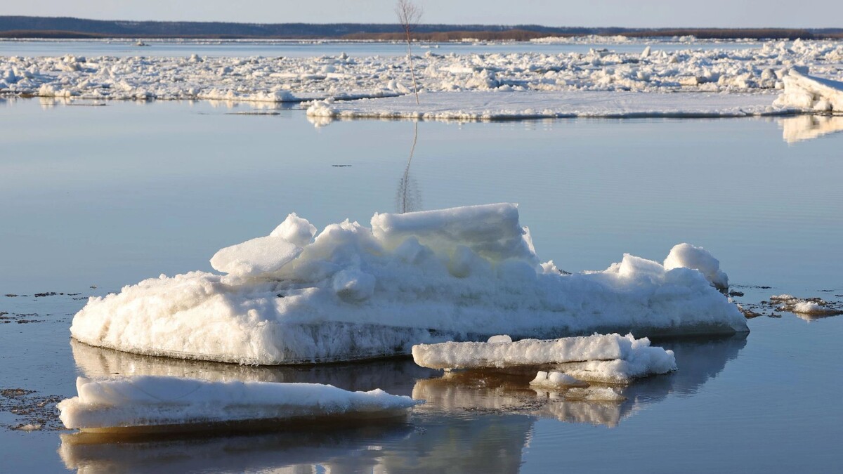    Фото: Андрей Ткачев / «Ямал-Медиа»