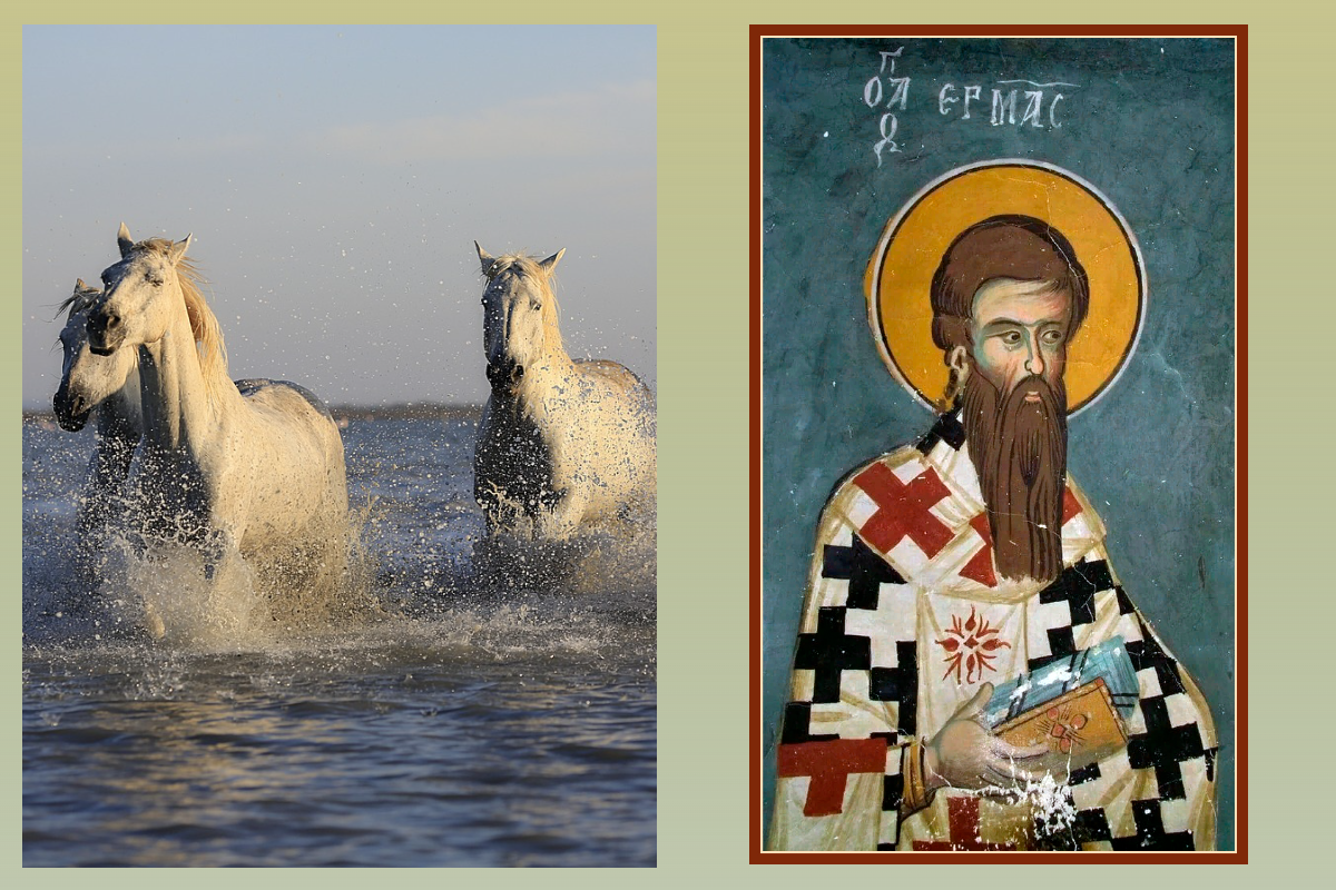 Апостол от 70-ти Ермий/azbuka.ru, Лошади/pixabay.com