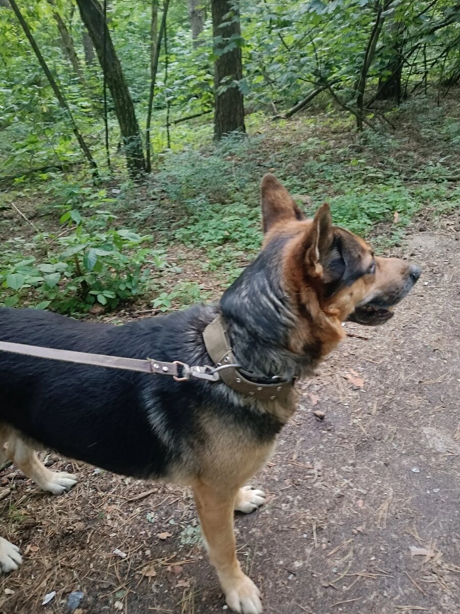 На прогулке 