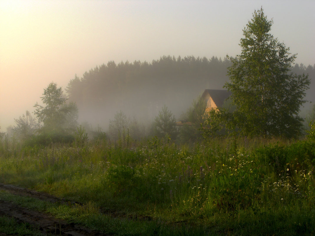 Яндекс. Картинки. 