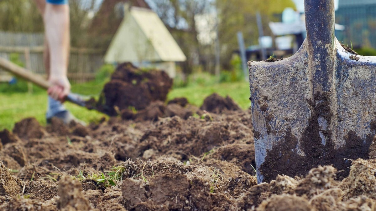    Фото: Georgy Dzyura/Shutterstock/Fotodom