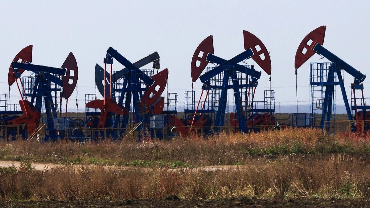 Нефть в стране качают, но сколько — секрет. А спад в добывающей промышленности по итогам первого квартала составил 3,7%. Фото: Егор Алеев. ТАСС