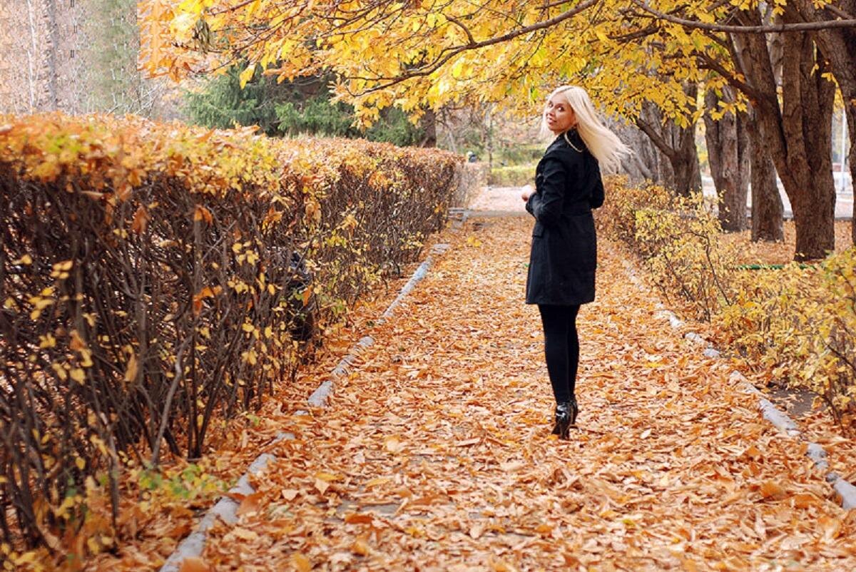     Фото: dzen.ru Фотография взята из открытых источников.