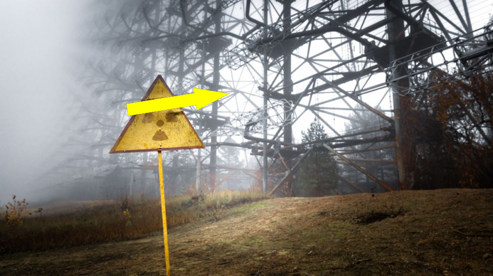    Чернобыльский ПАРАДОКС кабана раскрыт спустя 38 лет