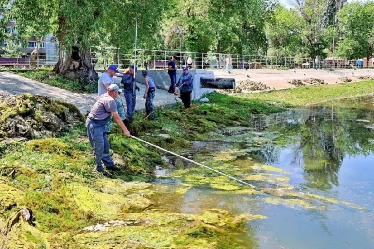    В Самаре на 60% выполнена очистка водоема в парке им. 50-летия Октября