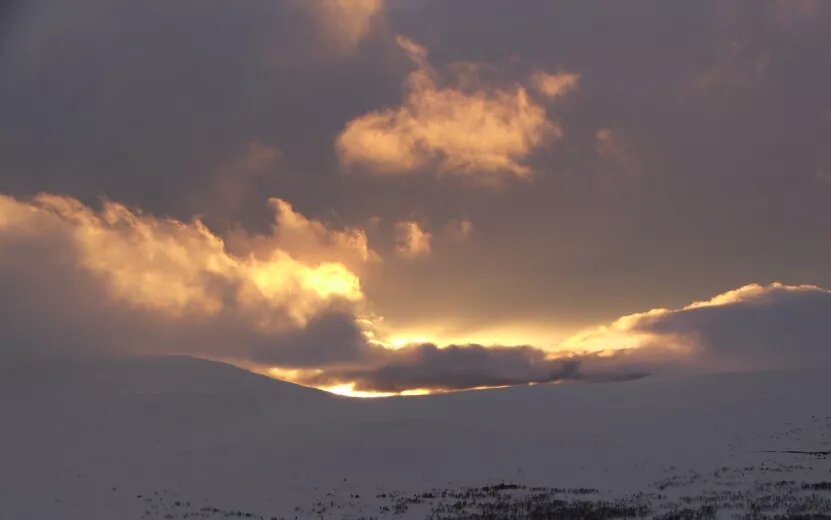    «Молнии надвигаются 13 июня»: жителей Удмуртии просят быть осторожными во время гроз