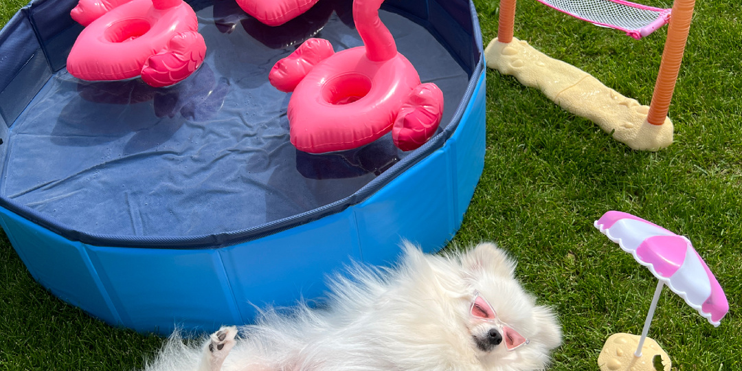 Питомцы и жара!