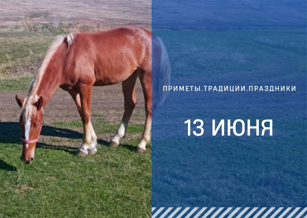   ГТРК "Ставрополье"