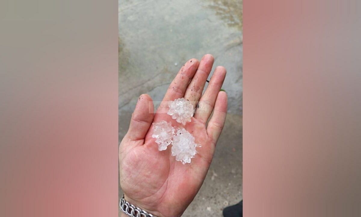    Фото «Кубань 24»