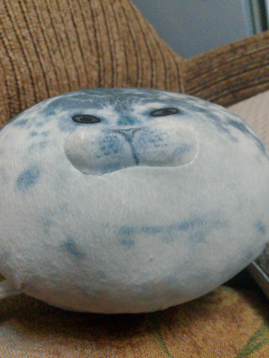 ОН ЗНАКОМИЦА С ВАМИ 