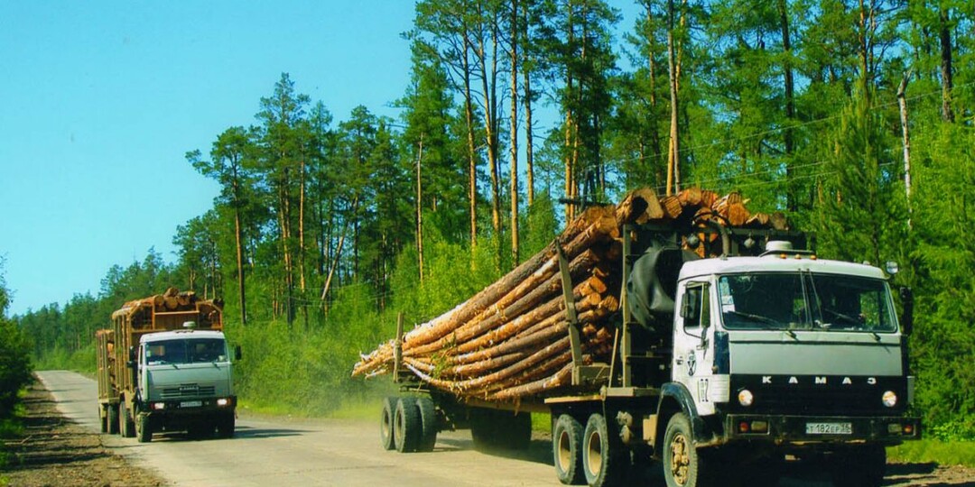 Ведущие российские производители лесовозов