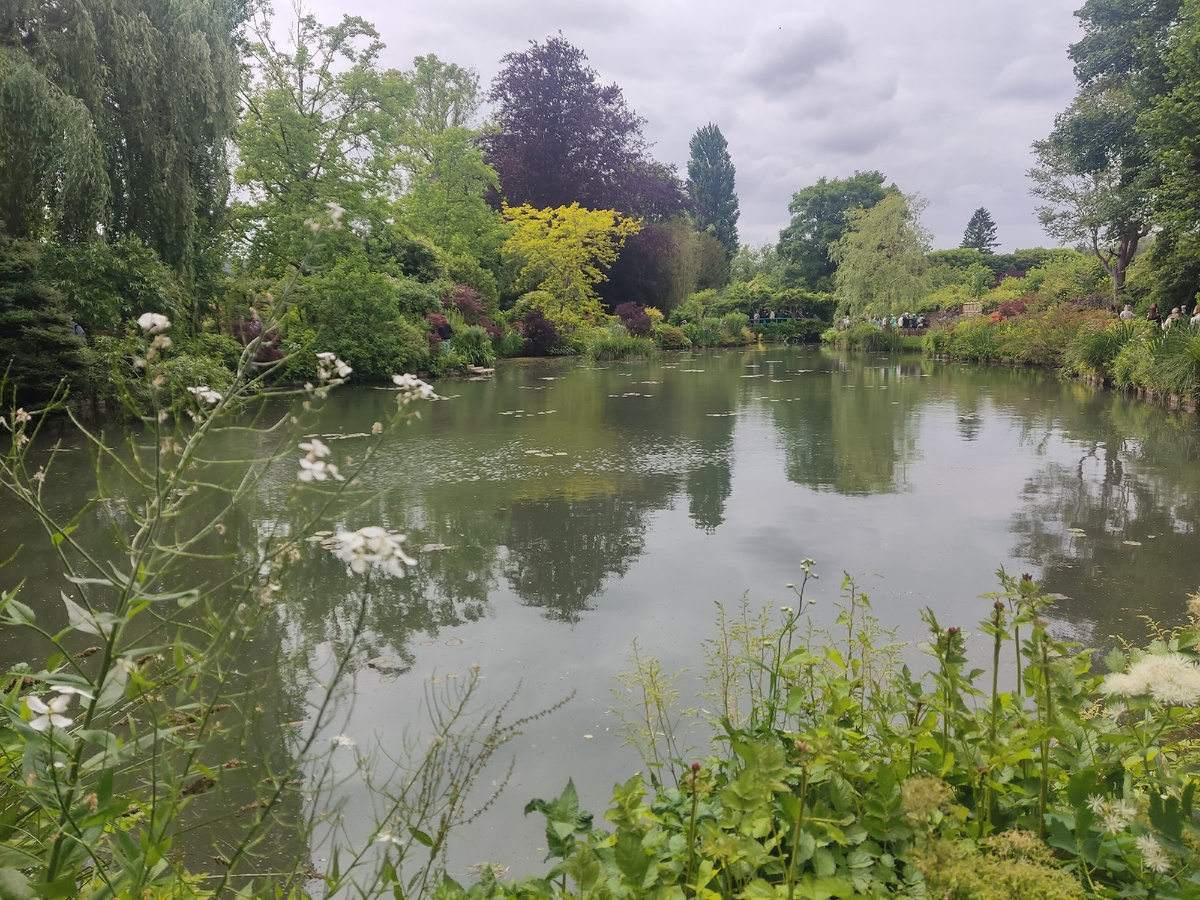 Пруд, где цвели знаменитые кувшинки. По тропинке, бегущей вдоль берега, нескончаемой вереницей тащатся туристы. 