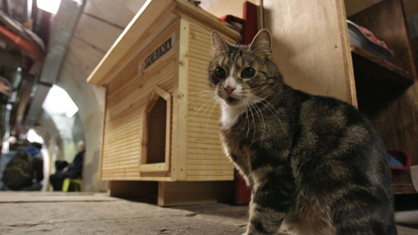   РИА Новости