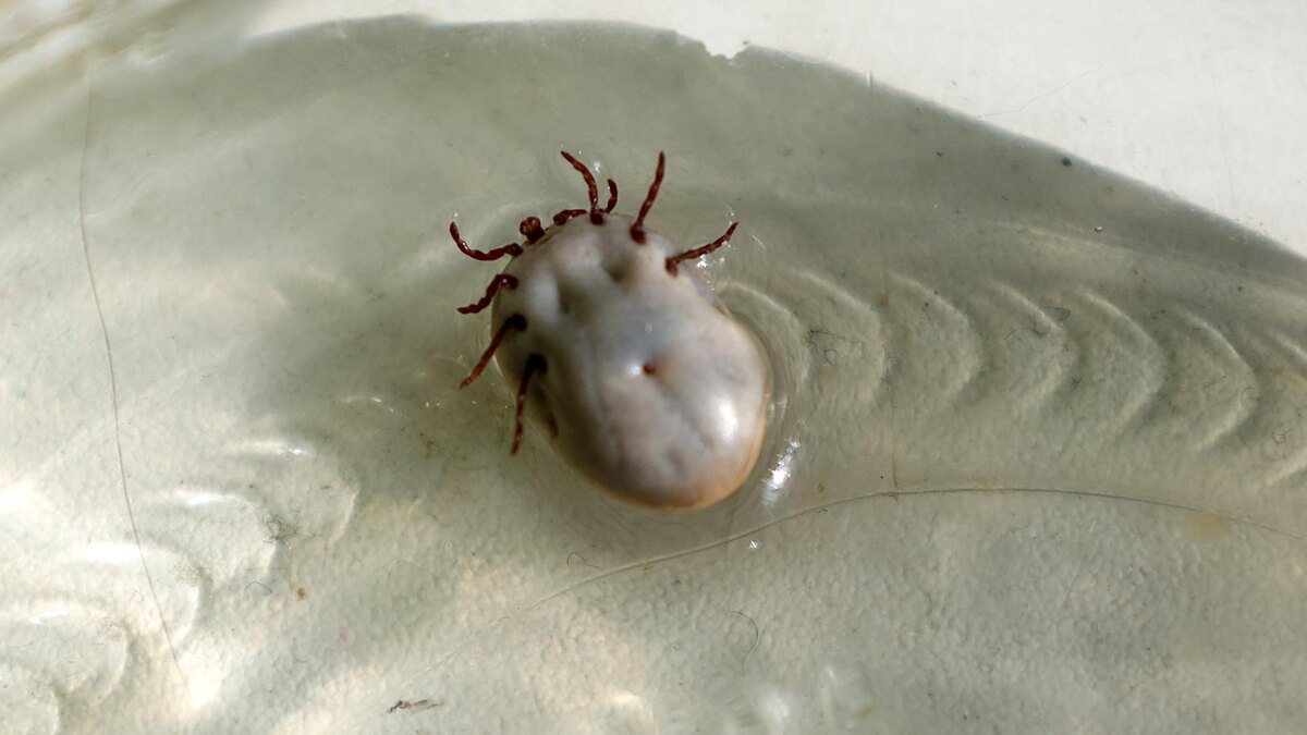    Фото: Elena Mayorova/globallookpress.com