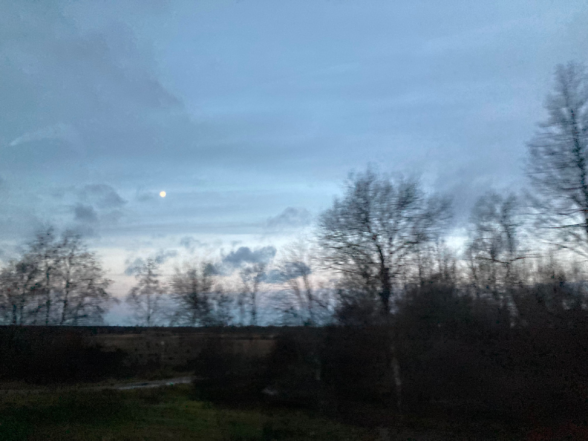 Дорога в Изборск