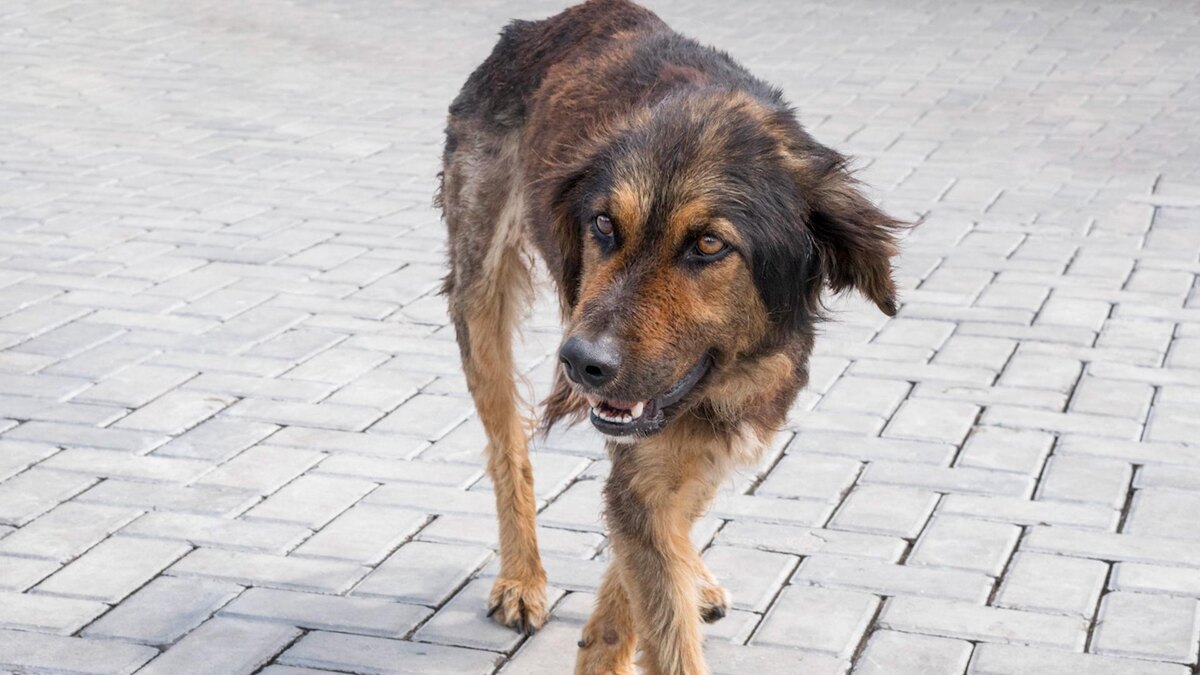    Фото: ru.freepik.com