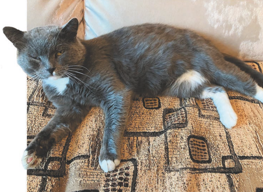 Фото Ирины Катовой