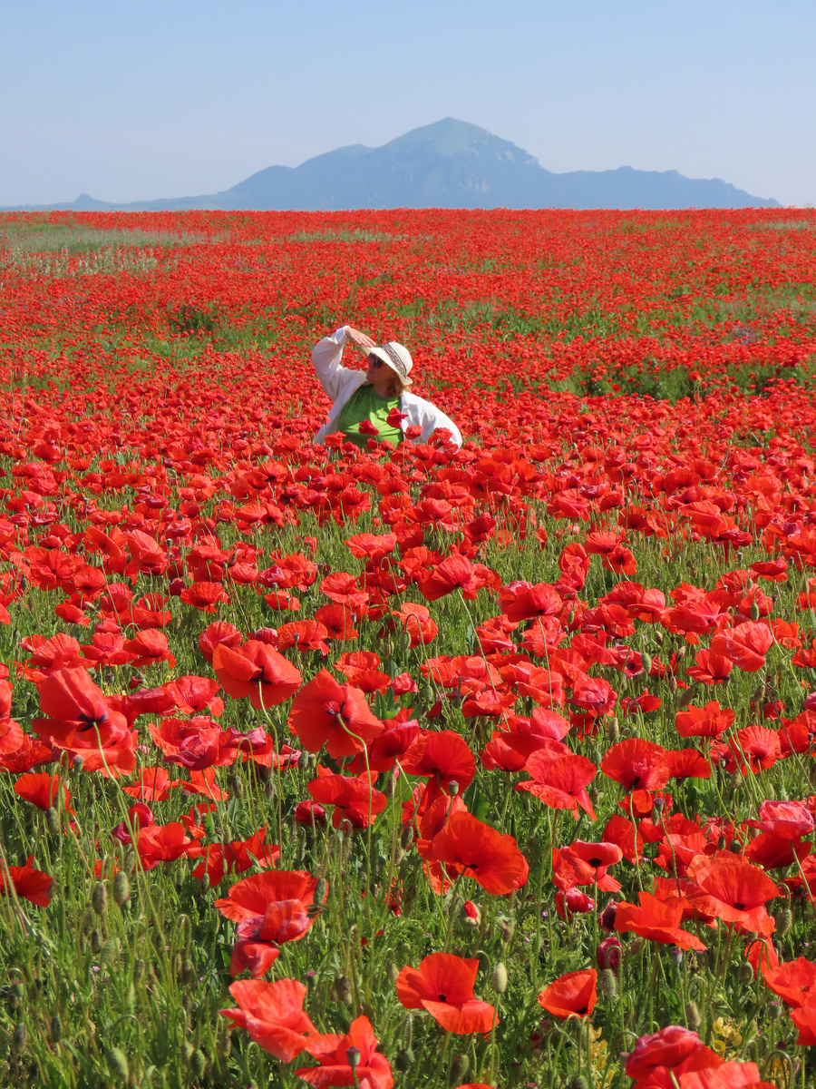 А от этой девушки я сегодня не очень в восторге, ну ладно, пойдёт (июнь 2025 года)