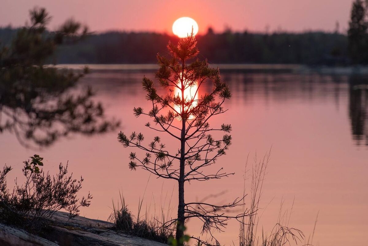 Фото Андрея Базанова t.me/andrewbazanov_photo