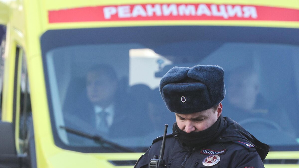    Фото: Alexey Belkin/globallookpress.com