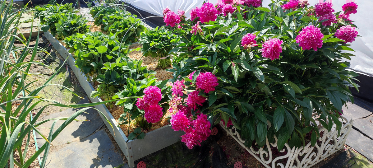 А вот так стало после.... 