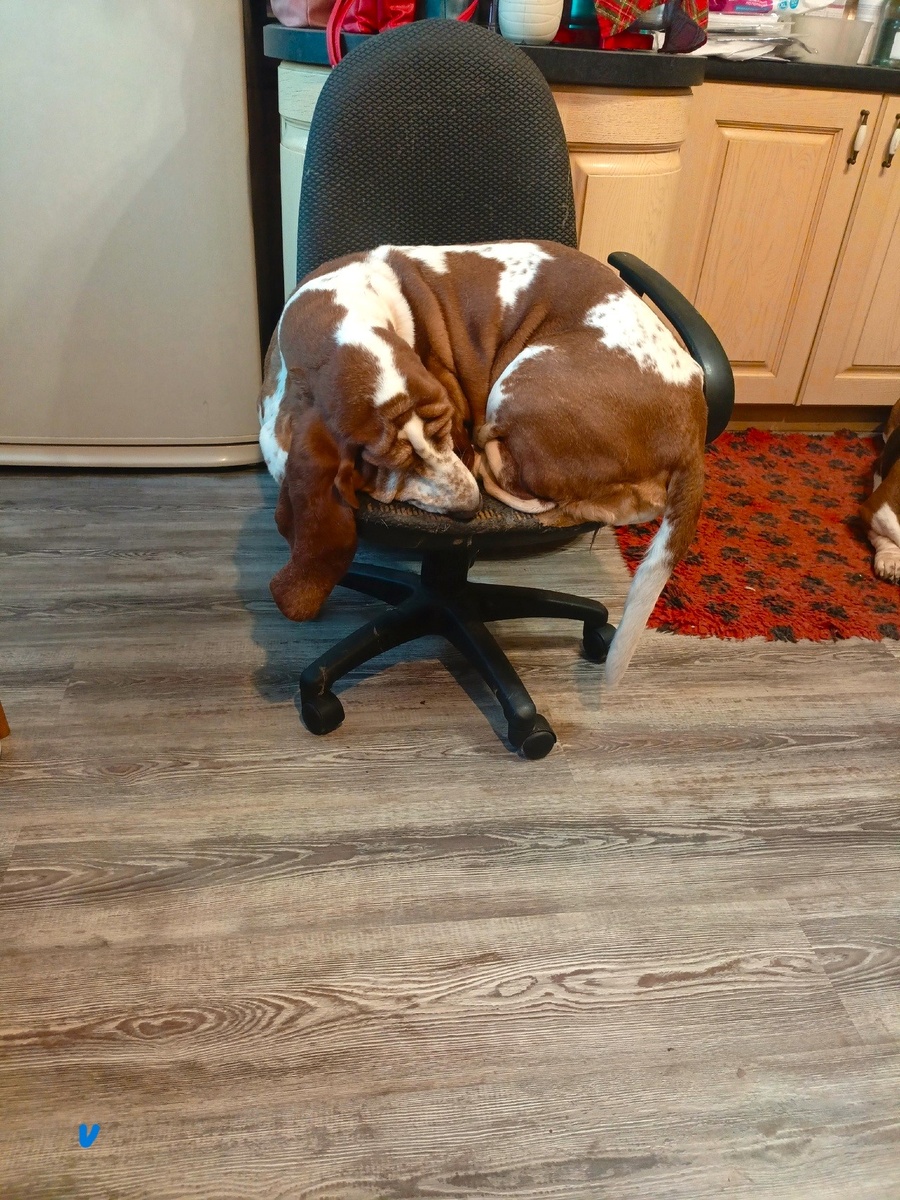 Снимок с телефона.