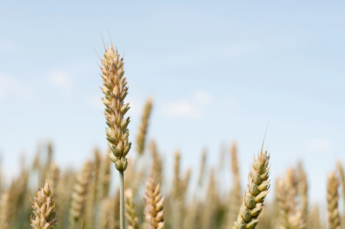 Личное фото