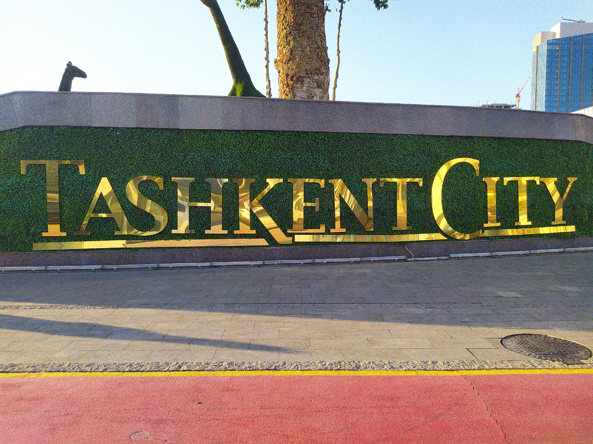 Фото автора.