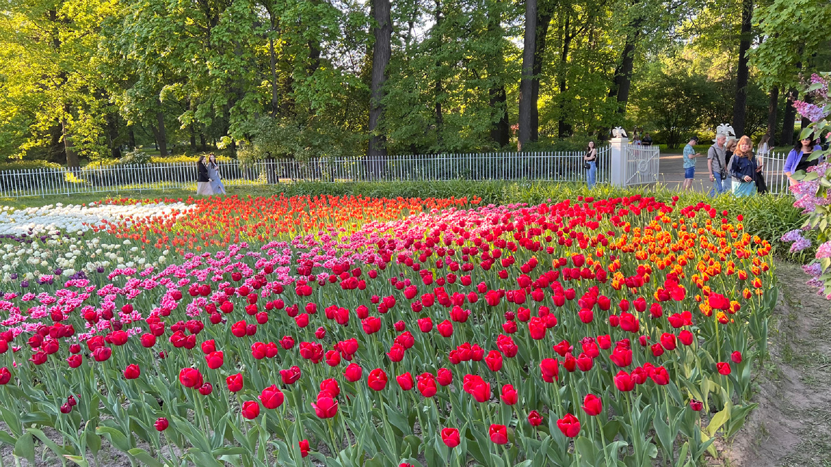 Елагин остров