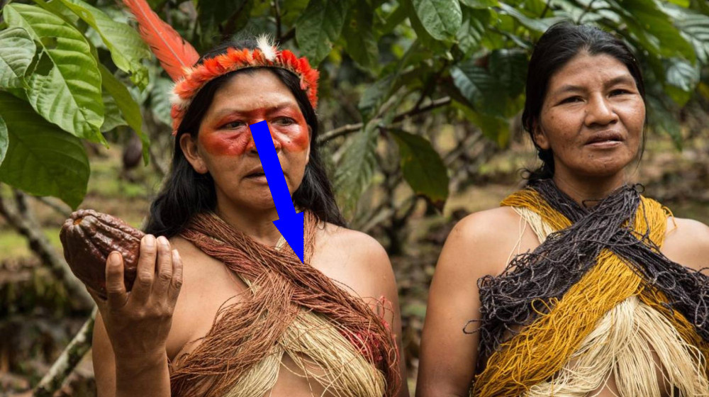    АМАЗОНСКОЕ ПЛЕМЯ РАЗЛОЖИЛОСЬ ОТ ИНТЕРНЕТА И ВЕРНУЛОСЬ К КАМНЯМ