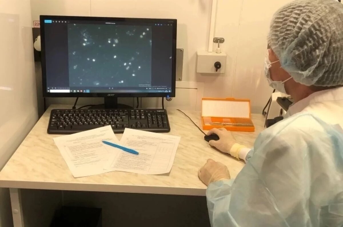    В Ростовской области эксперты выявили некачественный мёд