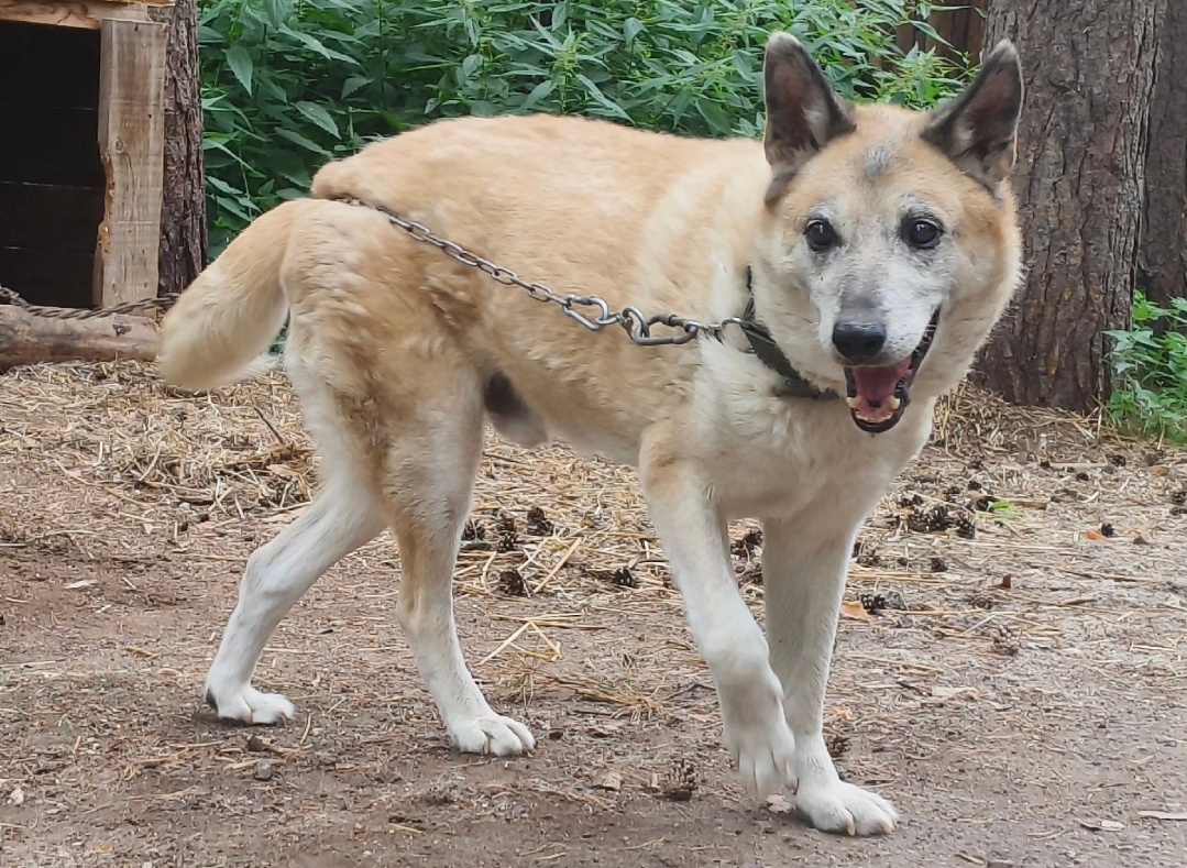 Возьмите погулять, я уже чуть-чуть вижу