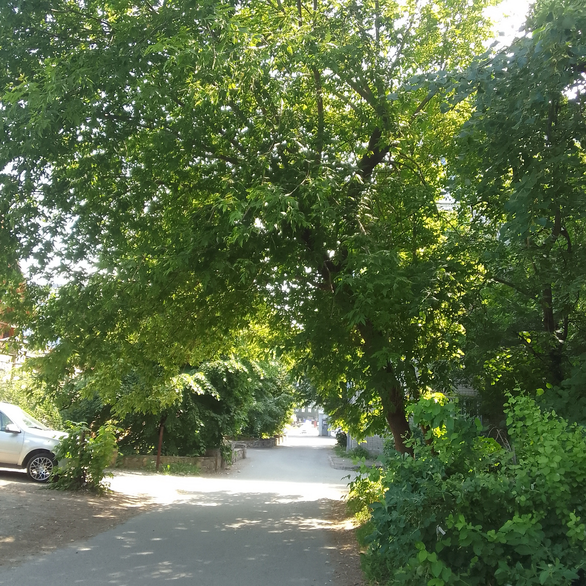 Фото автора 