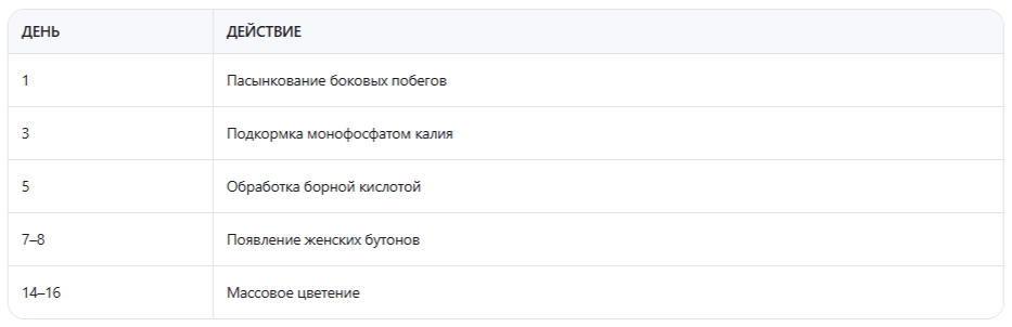 Схема действий