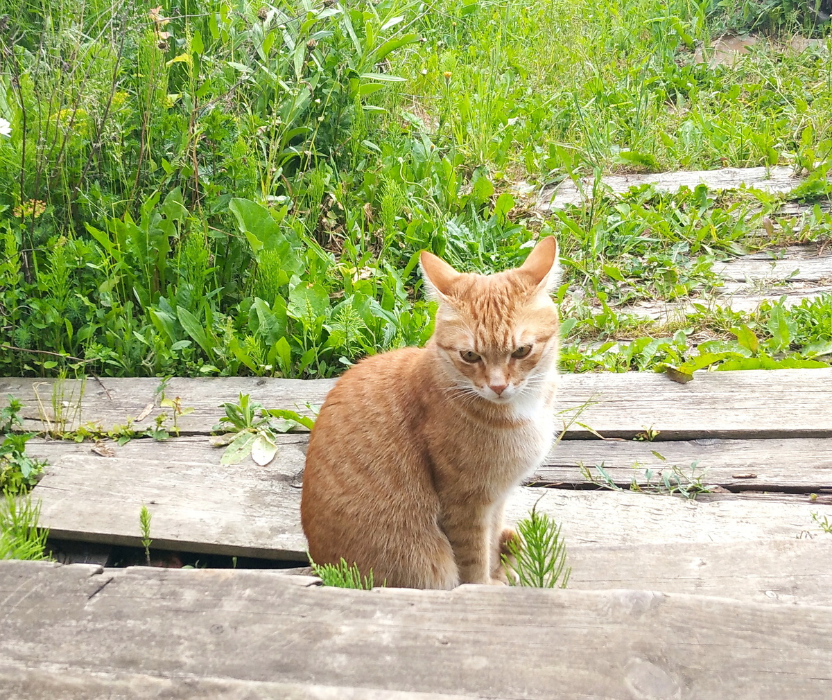 Личное фото
