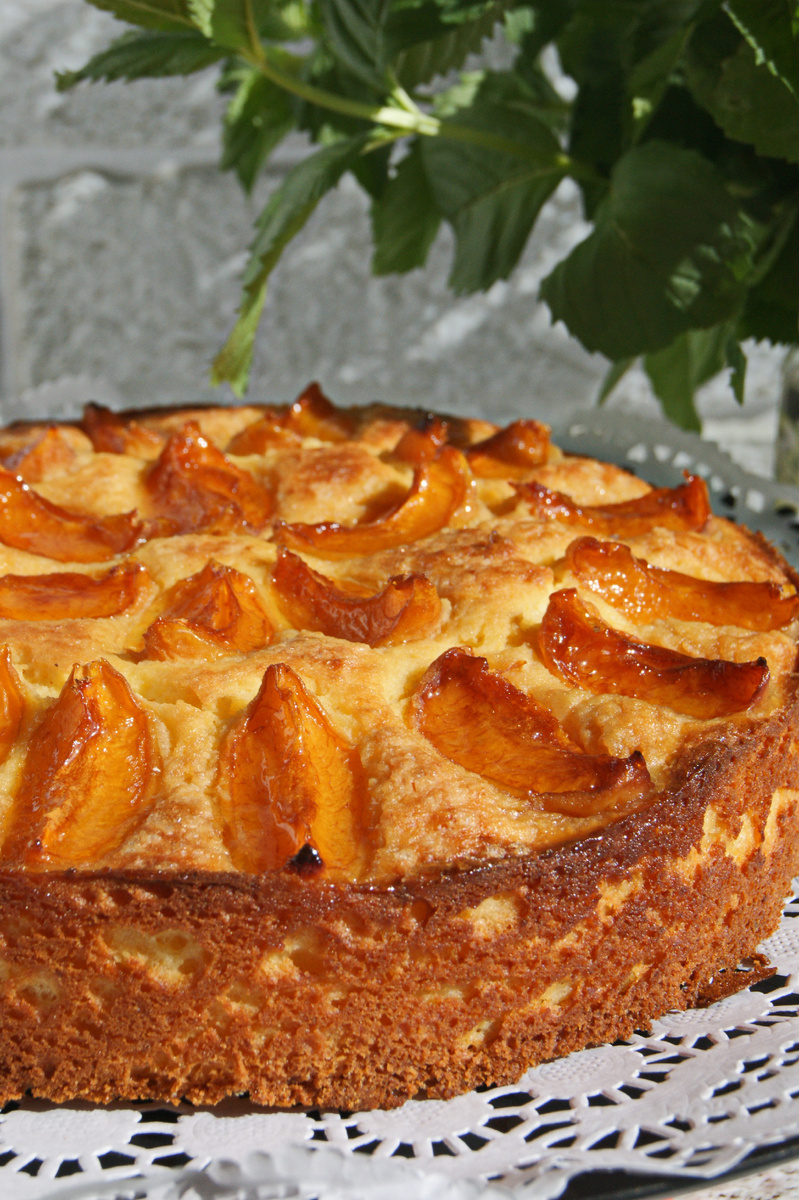 Фото автора. Творожный пирог с абрикосами.