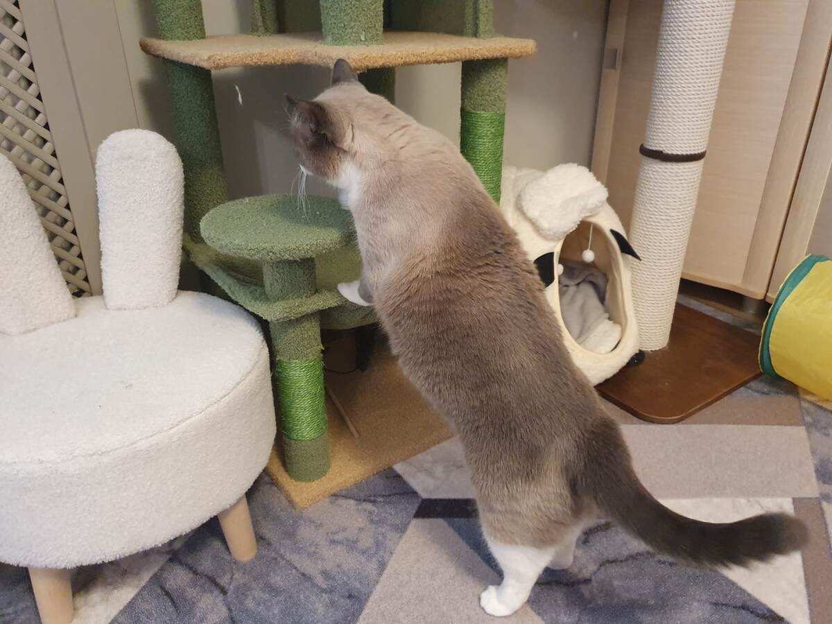 Путь ознакомления снизу вверх начинается.