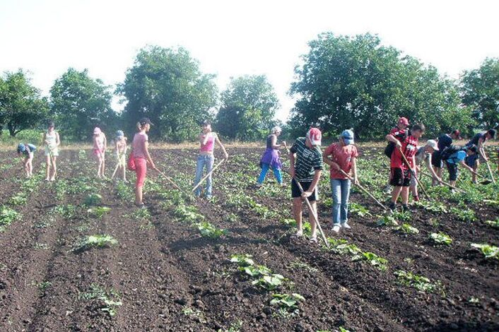 Фото из Яндекса. Спасибо автору