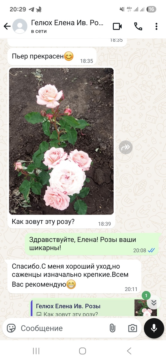  Спасибо большое Елена за Вашу обратну связь♥️