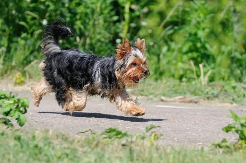 -Ты куда? -Я пошёл распространяться!