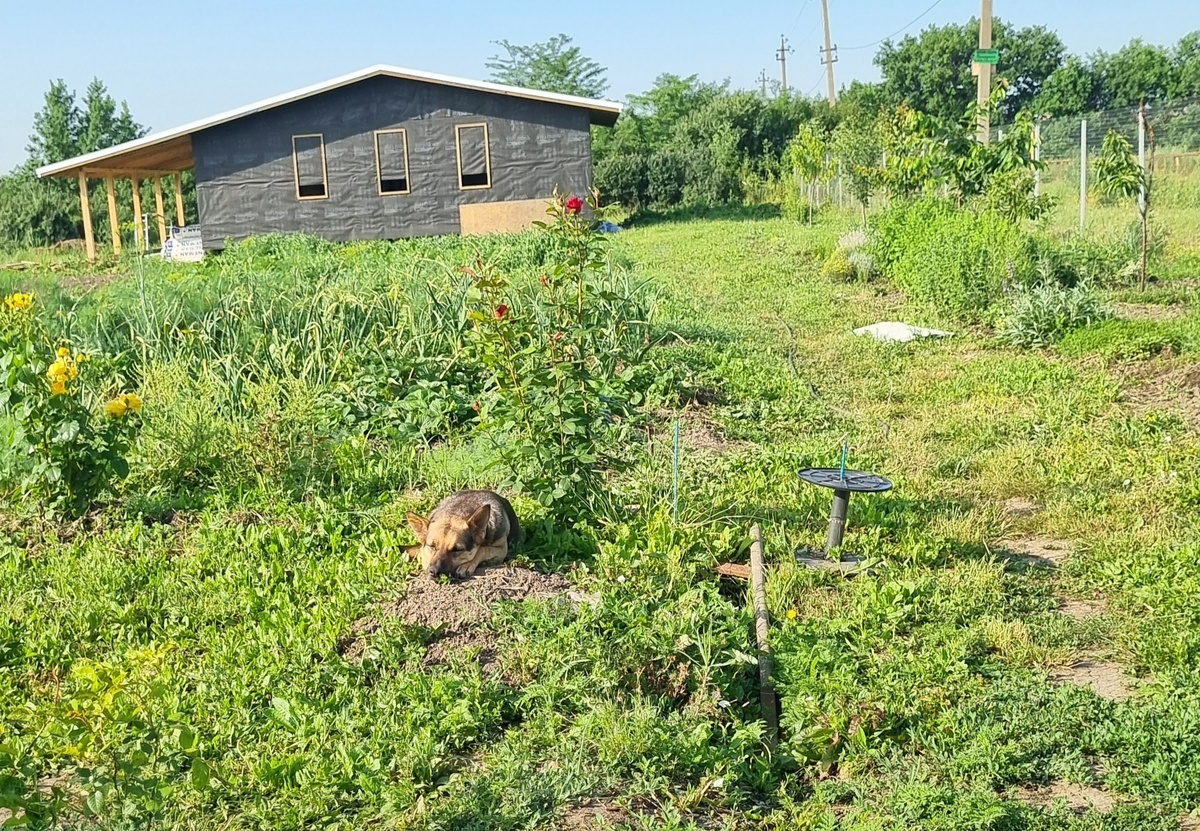 Вон он, виднеется вдали. Еще без окон